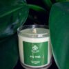 Vela Sublime | Fig Tree - Image 5