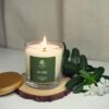 Vela Sublime | Fig Tree - Image 4