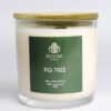 Vela Sublime | Fig Tree