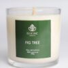 Vela Sublime | Fig Tree - Image 6